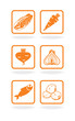 Foodstuff orange icons set