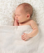 Photo: Newborn baby Newborn baby