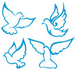 Vector dove symbol
