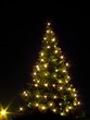 Foto: Weihnachtsbaum Weihnachtsbaum