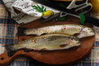 Salmo trutta