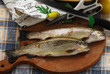 Salmo trutta