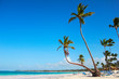 Postcard from Bavaro Beach, Punta Cana