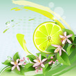 Abstract background with juicy slice of lemon fruit