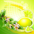 Abstract background with fresh lemon