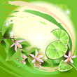 Background with lime slices, leaves and flowers