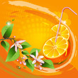Background with orange slices, leaves and flowers