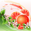 Abstract background with fresh grapefruit
