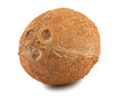 Photo: Ripe coconut Ripe coconut