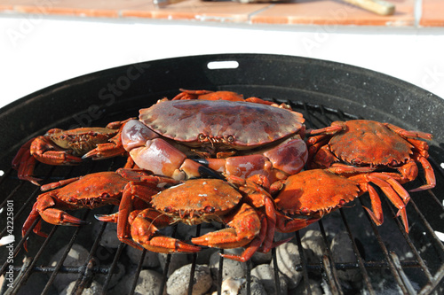 Foto: crab on charcoal grill crab on charcoal grill
