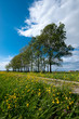 Foto: spring landscape spring landscape