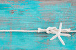 Foto: Sealife background Sealife background
