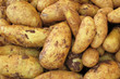 Foto: Kartoffeln Kartoffeln