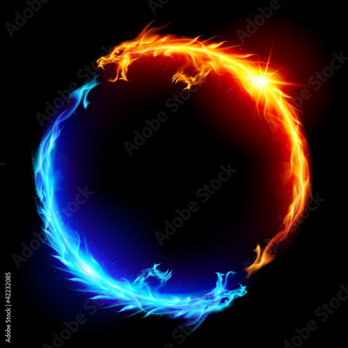 Vector: Blue and red fire Dragons Blue and red fire Dragons