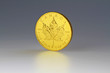 Gold Maple