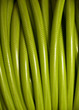 Rolled up of green PVC garden hose.