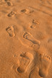 Foot print