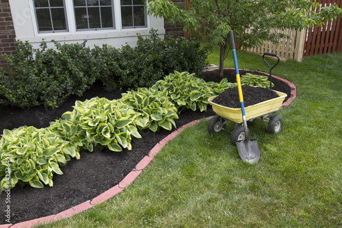 Photo: Mulching around the Bushes Mulching around the Bushes