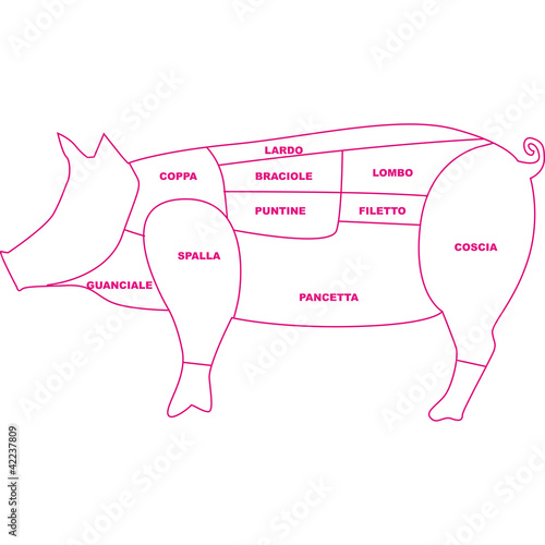 Vector: tagli maiale tagli maiale
