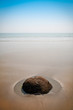 the beach