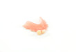 denture on white background
