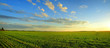 Panorama of sunrise over cereal field