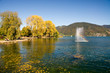 Ufer Tegernsee Herbst Gelb Orange Blätter fallen