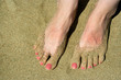 Photo: Female feet Female feet