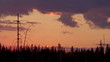 Taiga at sunset (Siberia)