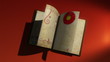Video: animated book with turning pages, decorative borders animated book with turning pages, decorative borders
