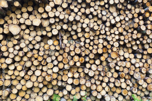 Photo: Timber Stack Timber Stack