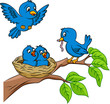 Bird family