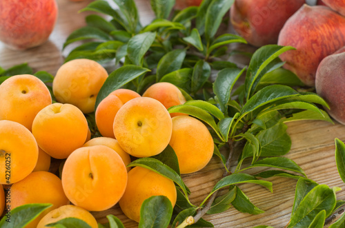 Foto: albicocche e pesche appena colte albicocche e pesche appena colte