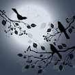 Vektor: Birds on the branch during summer's night Birds on the branch during summer's night