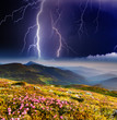 Foto: storm storm