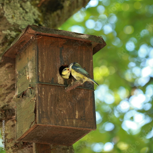 Photo: Essenszeit Essenszeit