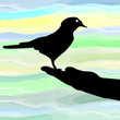 Vektor: A bird in the hand A bird in the hand