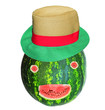 face of  watermellon and hat on the top