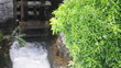 Wassermühle am Rheinfall