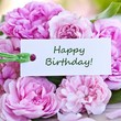 Foto: Happy Birthday! Happy Birthday!