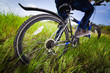 Bicycle wheel in the green grass