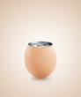 Egg Idea