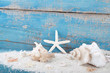 Muscheln - Strandgut mit Hintergrund