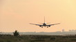 Silhouette of landing plane