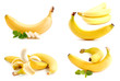 Bananen - bananas collection