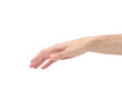 Hand