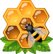 Vector: Bee on honeycomb Bee on honeycomb