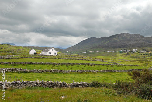 Foto: Campagne irlandaise Campagne irlandaise