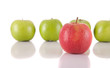 Photo: Apples Apples