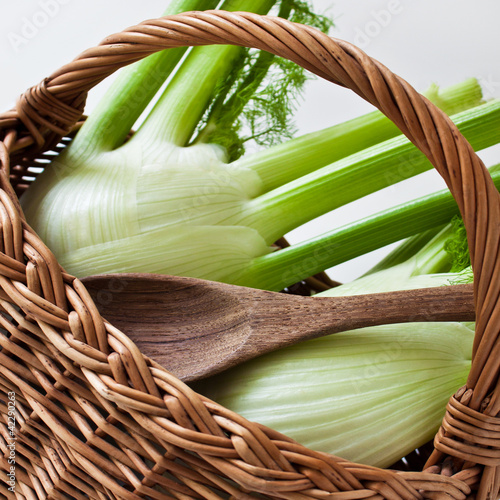 Photo: Fenchel Fenchel